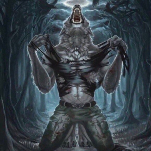 sybercanine